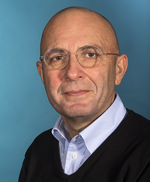 Dr Stefano Stea